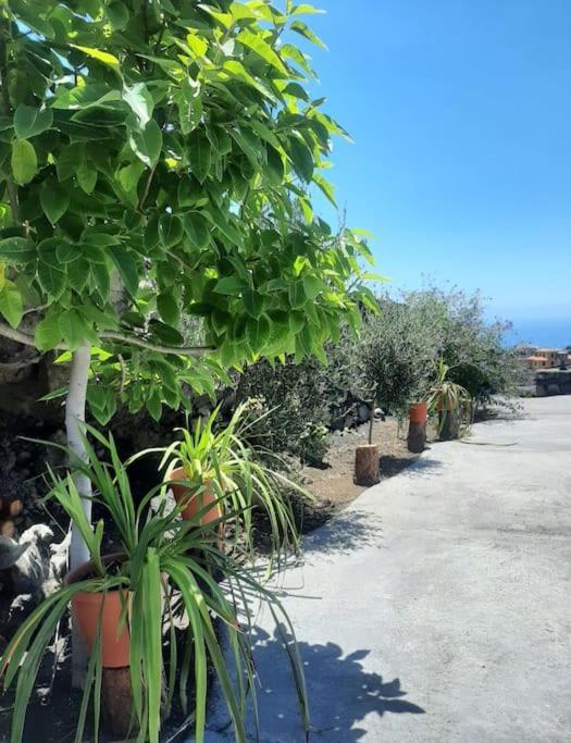 Mi Rinconcito Villa Los Llanos De Aridane Eksteriør bilde